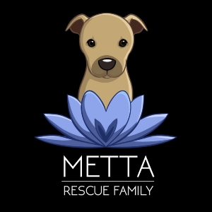 METTA Logo 2