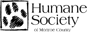 HSMC logo