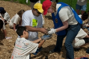Volunteers Planting