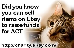 Ebay fundraising