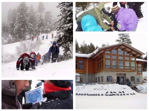 SnowSchool collage