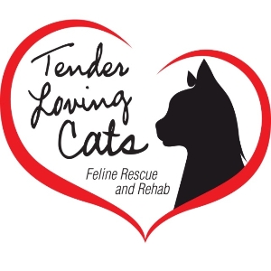 Tender Loving Cats, Inc.