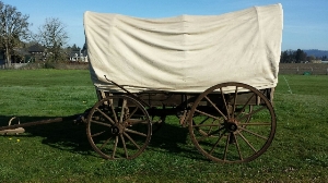 Oregon Trail Survivor Wagon