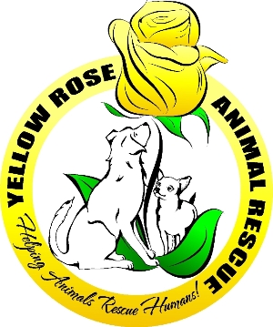 Yellow Rose Animal Rescue