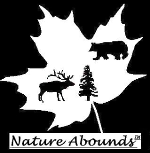 Nature Abounds