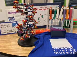 Micropipette & DNA