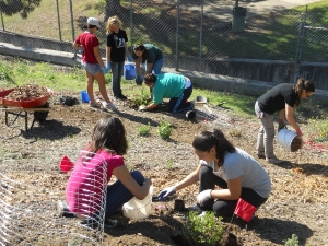 Volunteers planting natives at Bay Trees Park