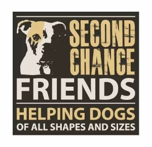 Second Chance Friends