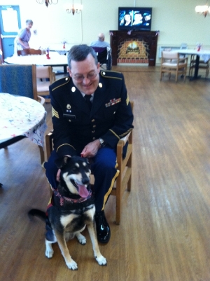 Veteran volunteer with dog