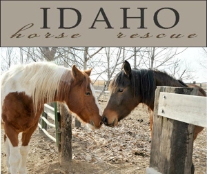 Idaho Horse Rescue