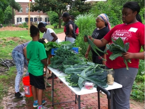 Youth Farm Stand
