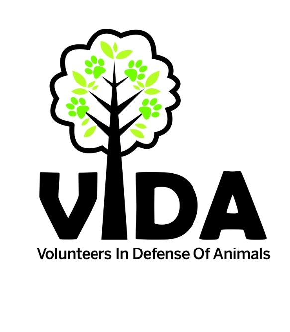 Volunteers in Defense of Animals volunteer opportunities | VolunteerMatch