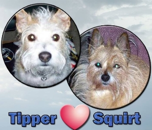Tipper and Squirt