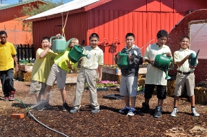 StarShine Academy Mustard Seed Peace Garden