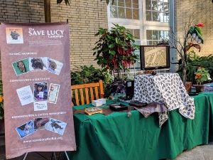 Save Lucy event table