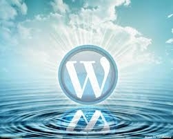 WordPress Website Whiz