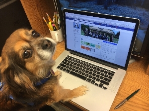 Penny, our social media assistant