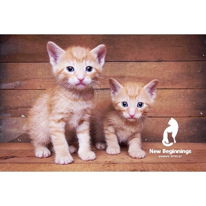 Ginger brothers
