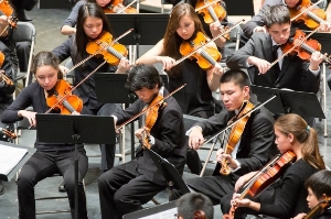 Symphony Violins