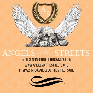 Angels of the Streets
