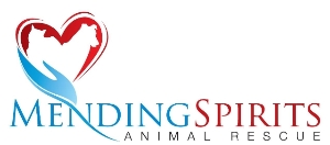 Mending Spirits Animal Rescue