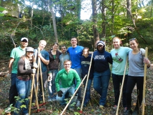 Invasive Removal at Pope Branch