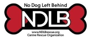 NDLB Logo