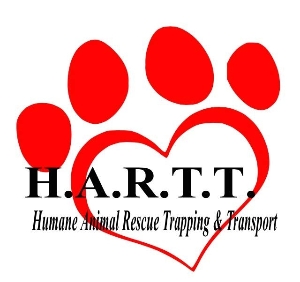 HARTT logo