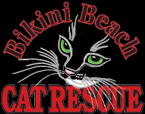 Bikini Beach Cat Rescue