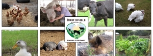 Rooterville, A Sanctuary Inc.