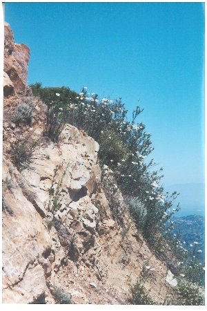 Cliff side in the Santa Monica Mountains