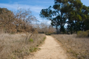 Gonzales Canyon Picture